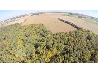 Tract 17 - LAND & REAL ESTATE AUCTION, 450+/- Acres offered in 17 Tracts of Highly Productive, Tillable Crop Land